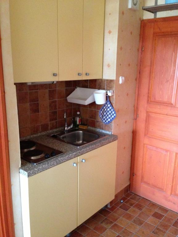 Kuchyň nebo kuchyňský kout v ubytování Kosztolányi Apartmanház