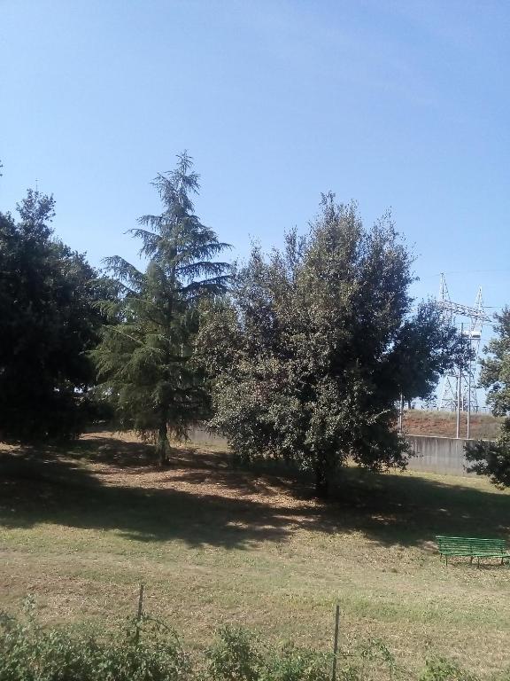 Fotografie z fotogalerie ubytování Villa del colle v destinaci Cisterna di Latina