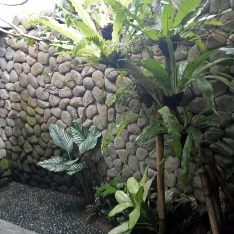 Melati Bali Homestay - 13