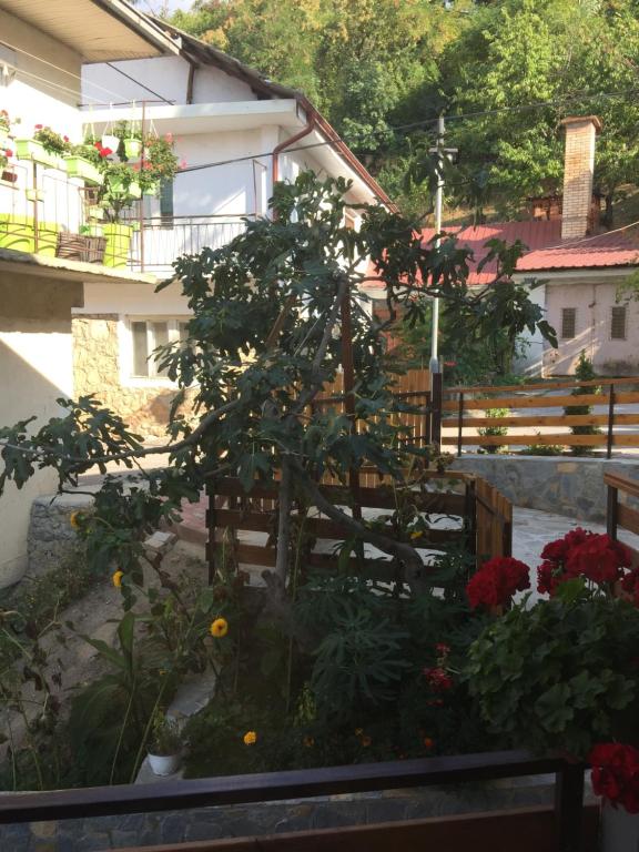 Fotografie z fotogalerie ubytování madox v destinaci Ohrid