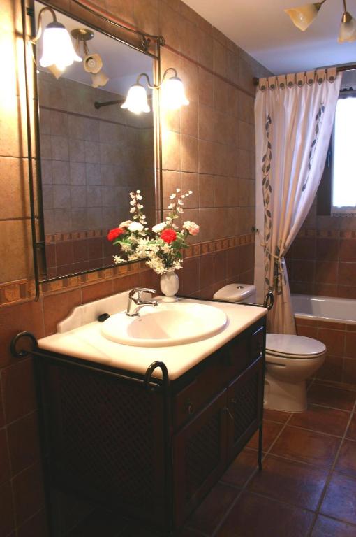 Un baño con lavabo, inodoro y espejo. en Casa Rural Valle Esgueva, en Burgos