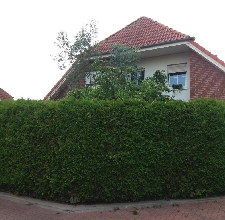 a large green hedge in front of a house at Ruhiges Zimmer direkt an den Leineauen in Hemmingen