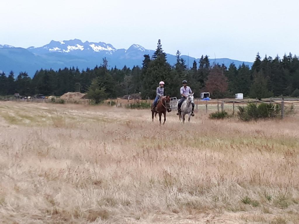 Hosté ubytování Paradise Acres Ranch