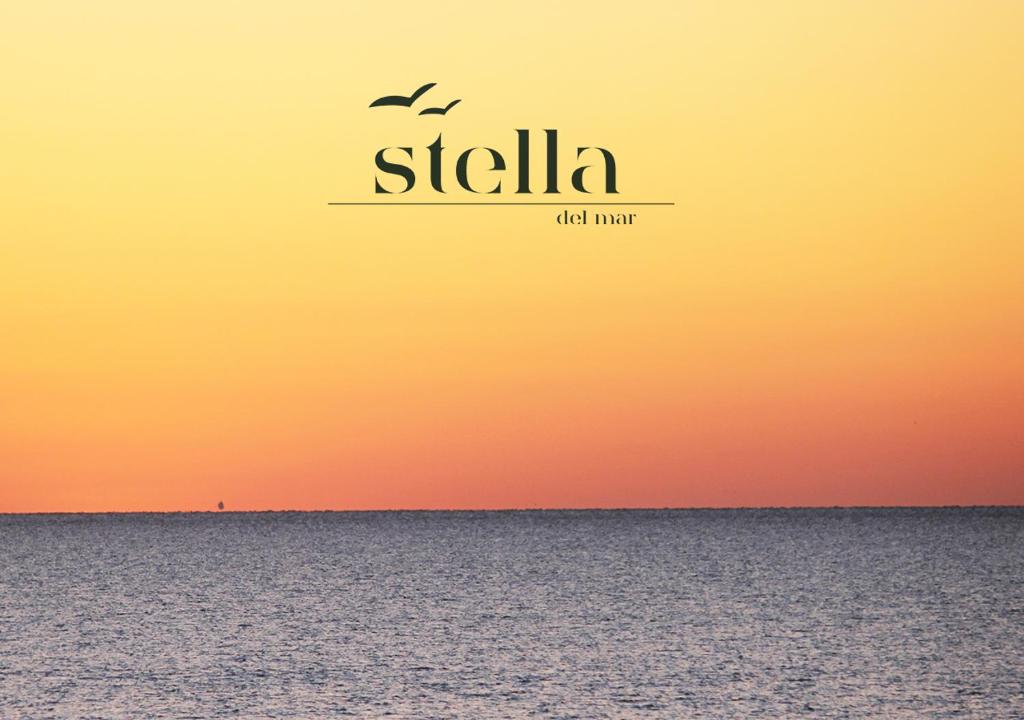 deux oiseaux volant au coucher du soleil au-dessus de l'océan dans l'établissement Stella del Mar, à San Felipe