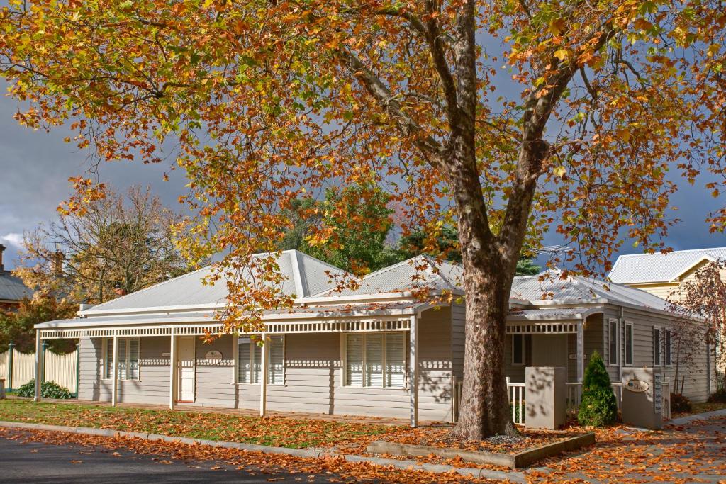 a white house with a tree in front of it at Mews Cottages in Gisborne