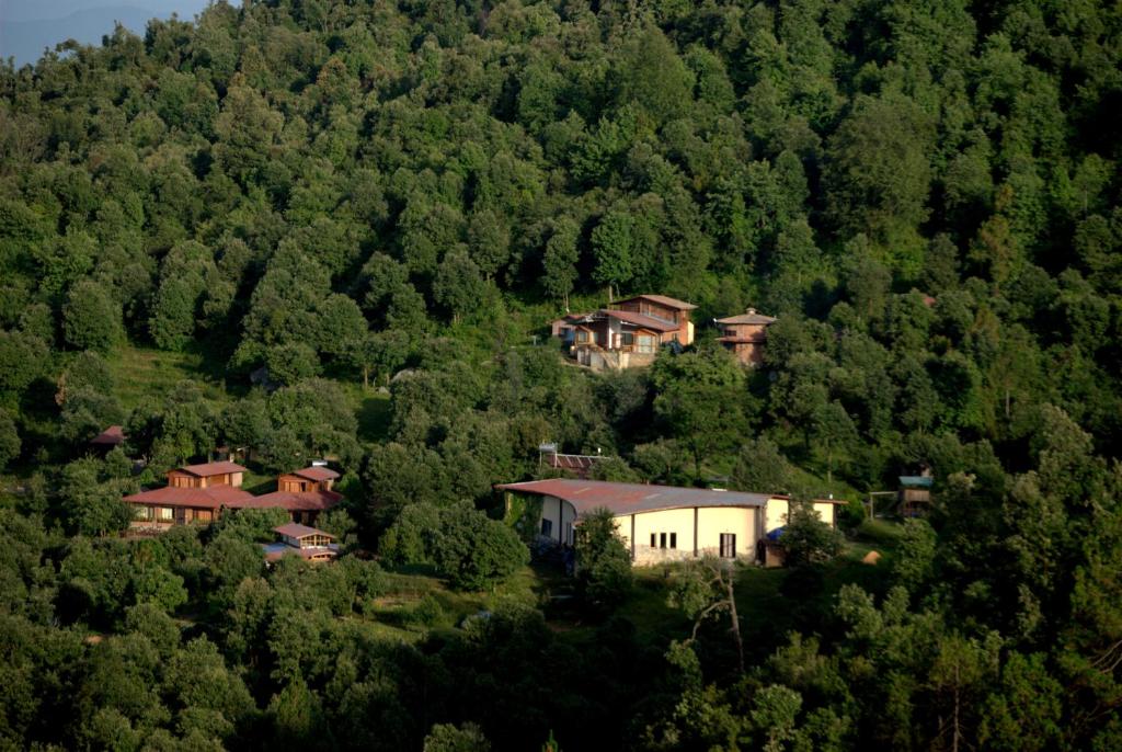 a house on a hill in the middle of a forest at Misty Mountains Jhaltola in Chaukori