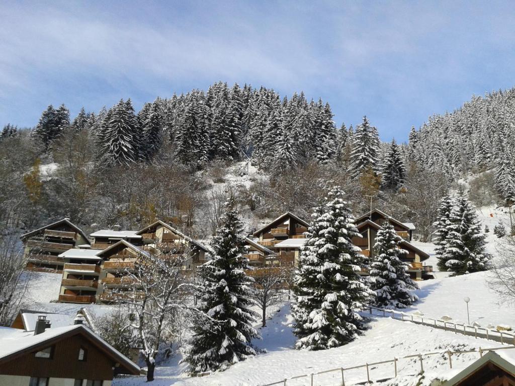 シャンパニー・アン・ヴァノワーズにあるLa Plagne/Champagny Studioの雪山の小屋