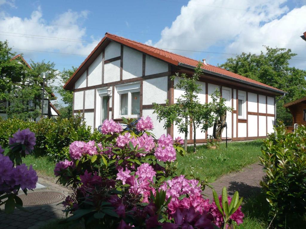 une maison avec des fleurs roses devant elle dans l'établissement Ferienhaus Kogge im Feriendorf Alt, à Bachenbrock