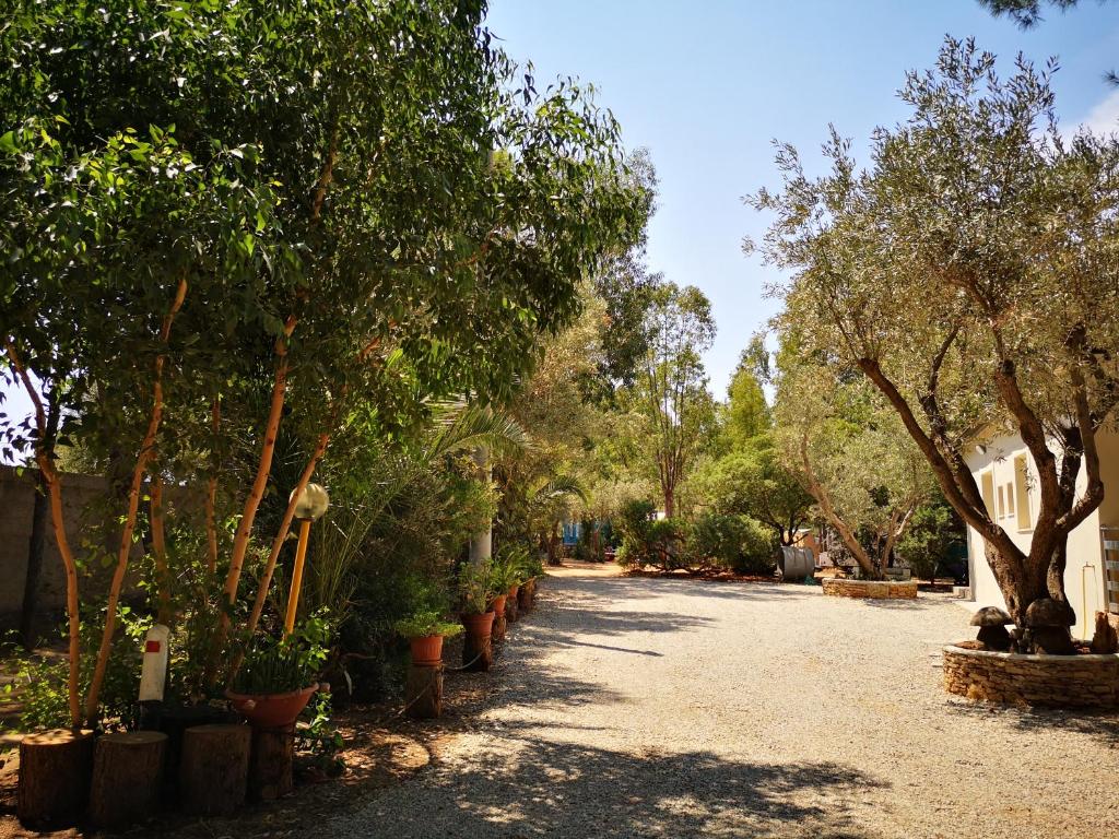 Village Camping Fico D'India في Ovile la Marina: ممر تصطف فيه الأشجار والنباتات الفخارية