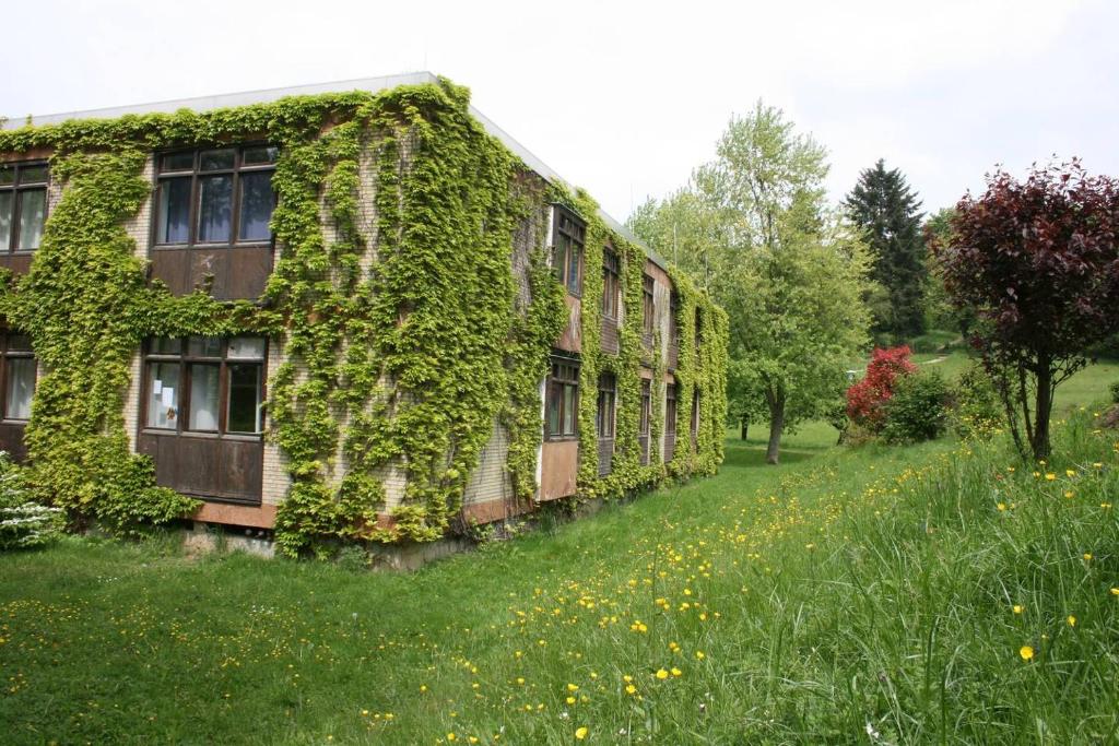 an ivy covered building in a field of grass at Wildbach Appartement in Ober-Hambach