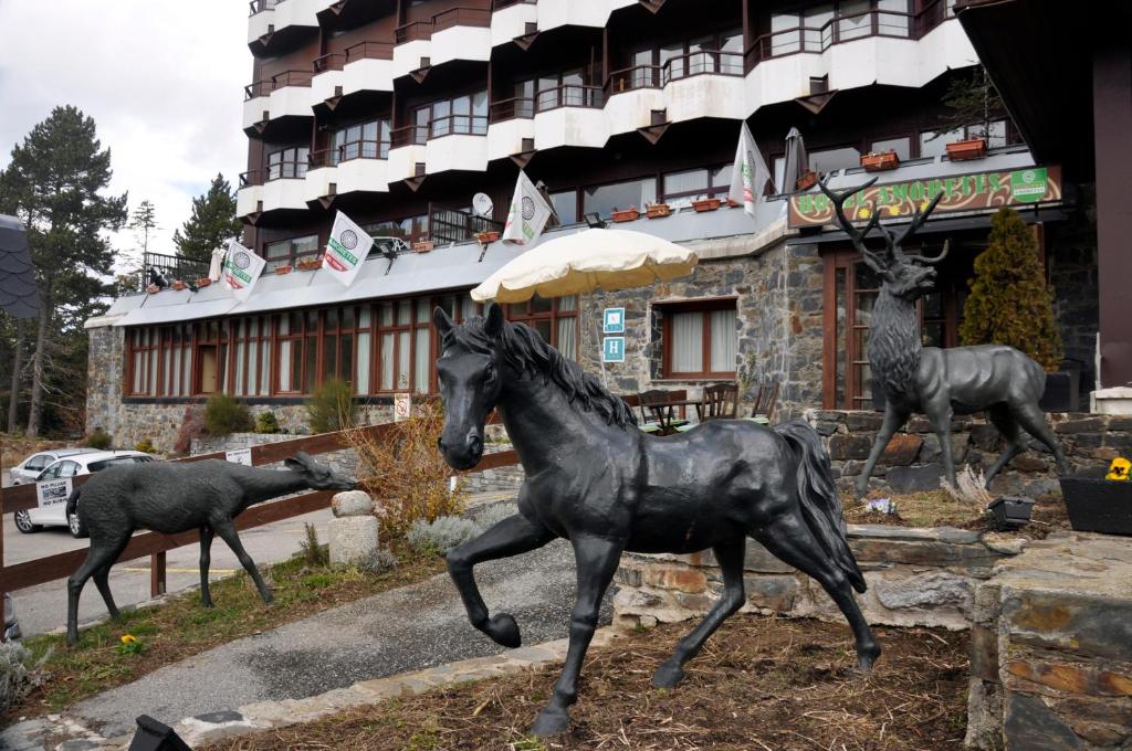 Zvířata v hotelu nebo okolí
