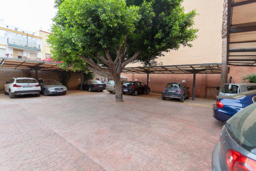 AACR Hotel Monteolivos - Resim 30