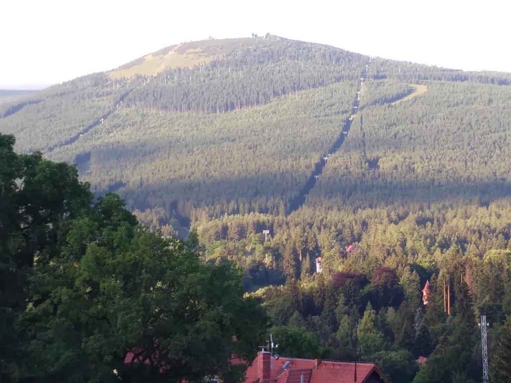Příroda nedaleko apartmánu
