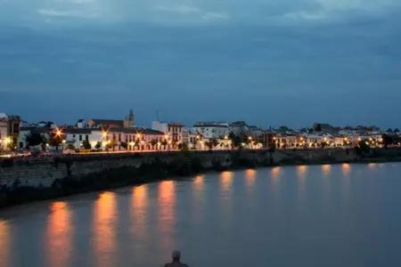 Apartamentos La Ribera Córdoba - 18