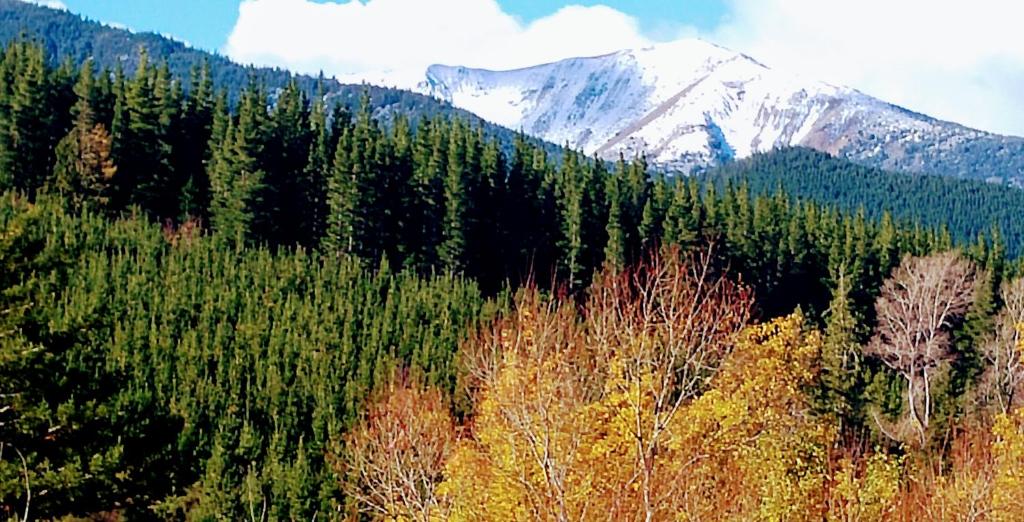 Aspen Lodge Motel - Resim 20