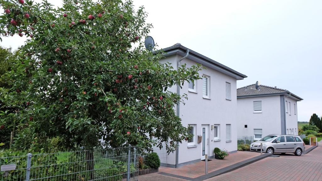 a white house with a tree in front of it at Haus am Apfelhain in Gangelt