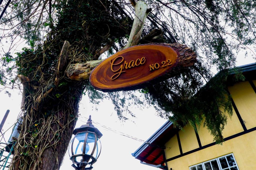 a sign hanging from a tree next to a street light at Grace in Nuwara Eliya