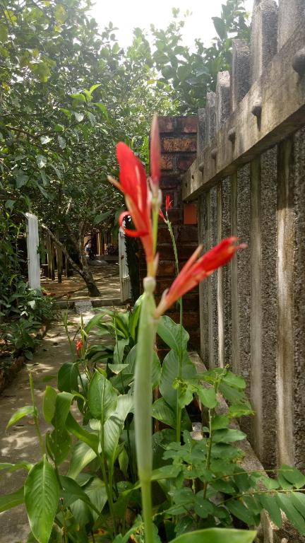 Tam Tinh Vien Homestay - 12