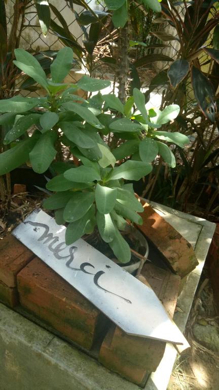 Tam Tinh Vien Homestay - 1