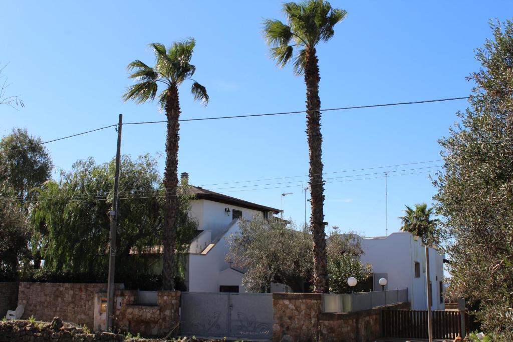 un groupe de palmiers devant une maison dans l'établissement Villetta Federica Torre Suda 4/6 p.l, à Torre Suda