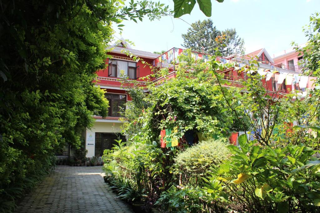Zahrada ubytování ROKPA Guest House