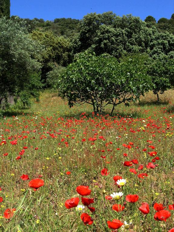 La Casita de Piedra - 7