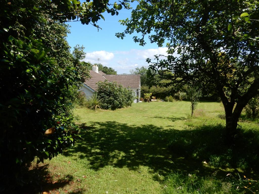 a yard with a tree and a house at Fuchsia Cottage in Porthallow