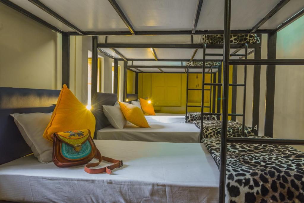 ein Zimmer mit 2 Etagenbetten mit Schuhen drauf in der Unterkunft Zostel Jodhpur- Clock Tower in Jodhpur