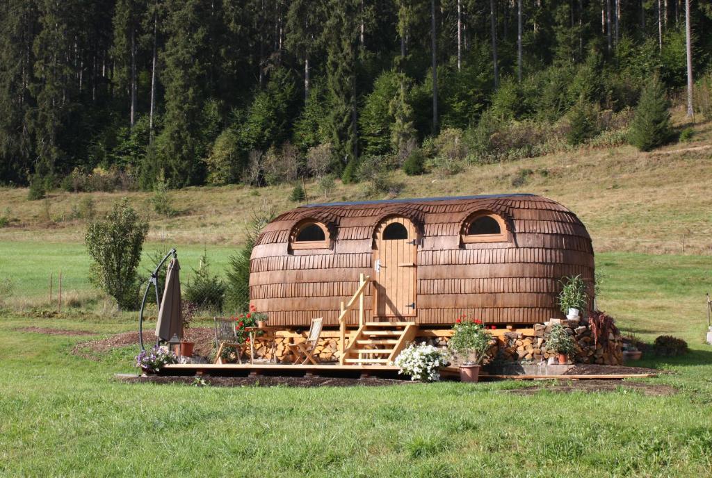 ein großes kuppelförmiges Haus auf einem Feld in der Unterkunft Igluhut Tiny House Winterberghof in Vöhrenbach