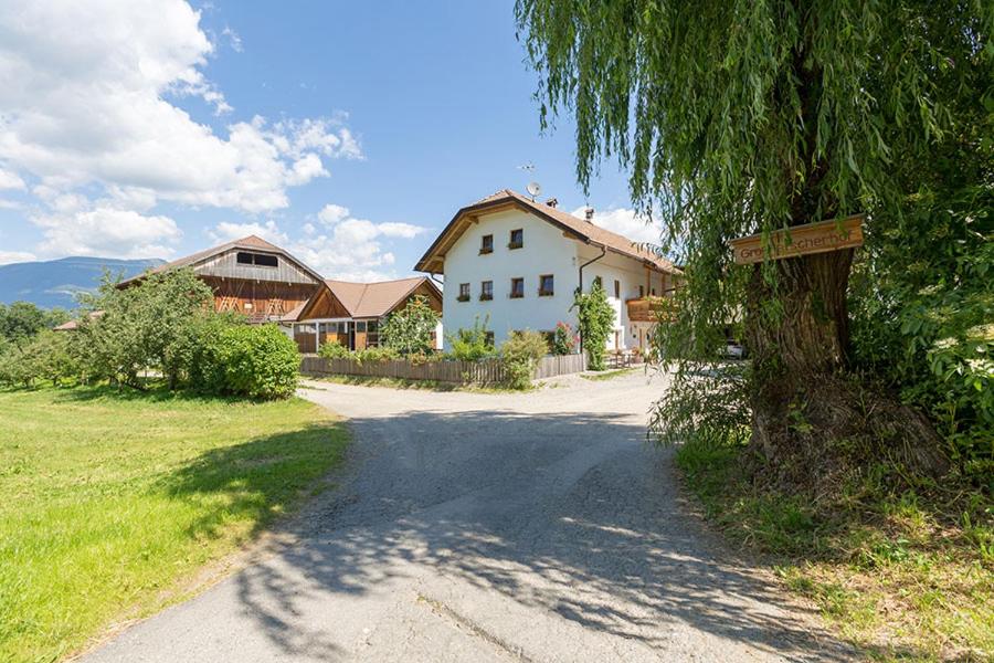 un árbol al lado de un camino al lado de una casa en Großflatscherhof, en Brunico