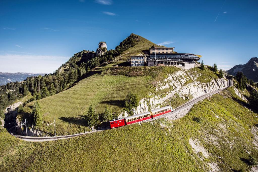 a train on a hill with a house on it at Berghotel Schynige Platte in Wilderswil