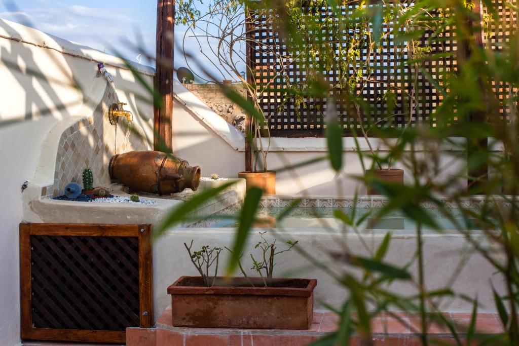 Zahrada ubytování Riad Chams Marrakech
