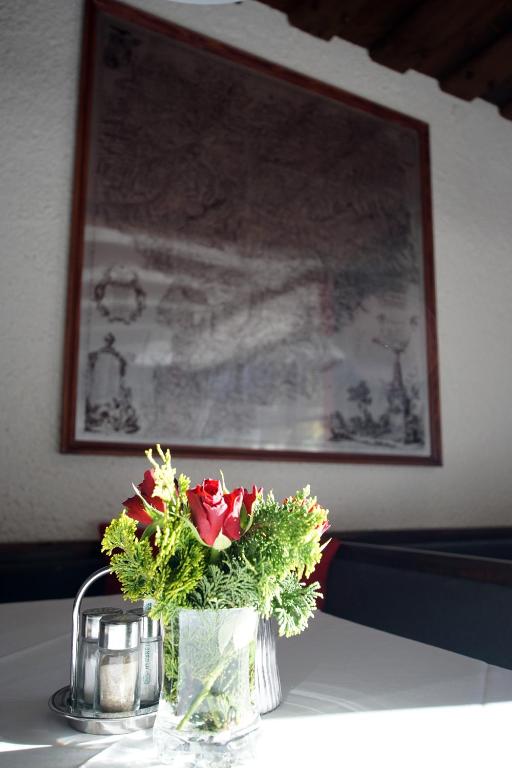 Fotografie z fotogalerie ubytování Pension Heidi v Kaprunu