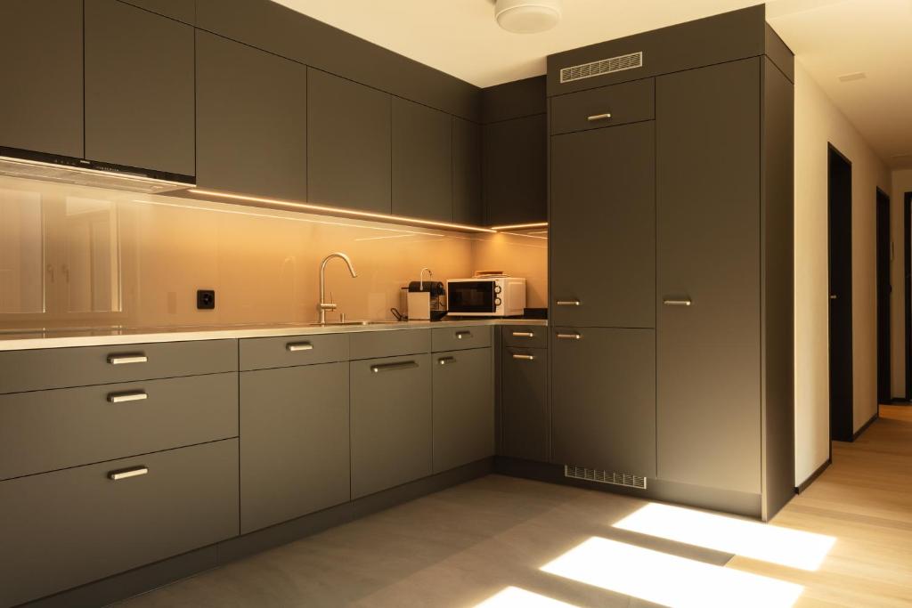 Kuchyň nebo kuchyňský kout v ubytování EMA House Serviced Apartments Superior Downtown