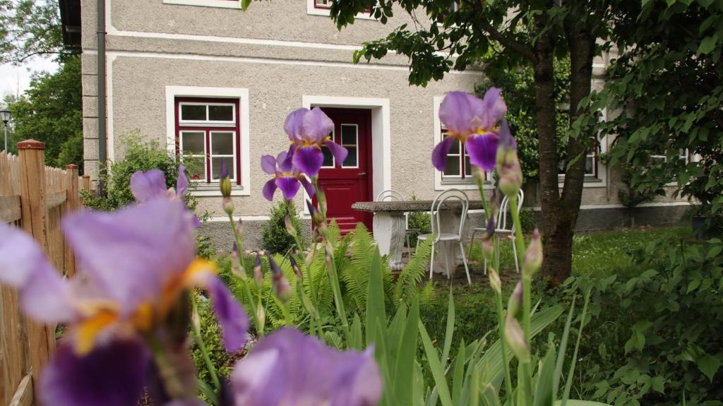 Alte Wirtschaft - Apartment