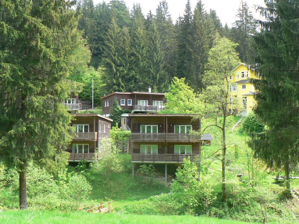 a building in the middle of a forest with trees at Ferienhaus Bad Hundertpfund Typ C in Grossbreitenbach