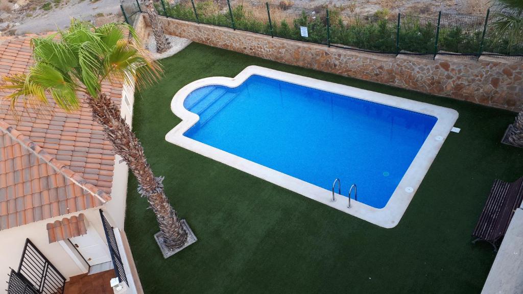 an overhead view of a swimming pool with a palm tree at Amazing terrace in Águilas in Águilas