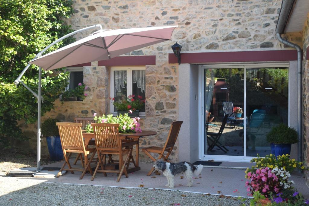 maison au calme dans un endroit de verdure - Housity