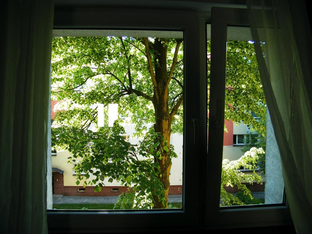 Bukowska Apartment - Apartment