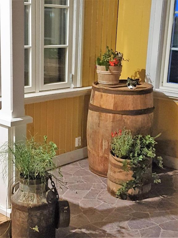 Zahrada ubytování Nygården B&B Hälsingegård