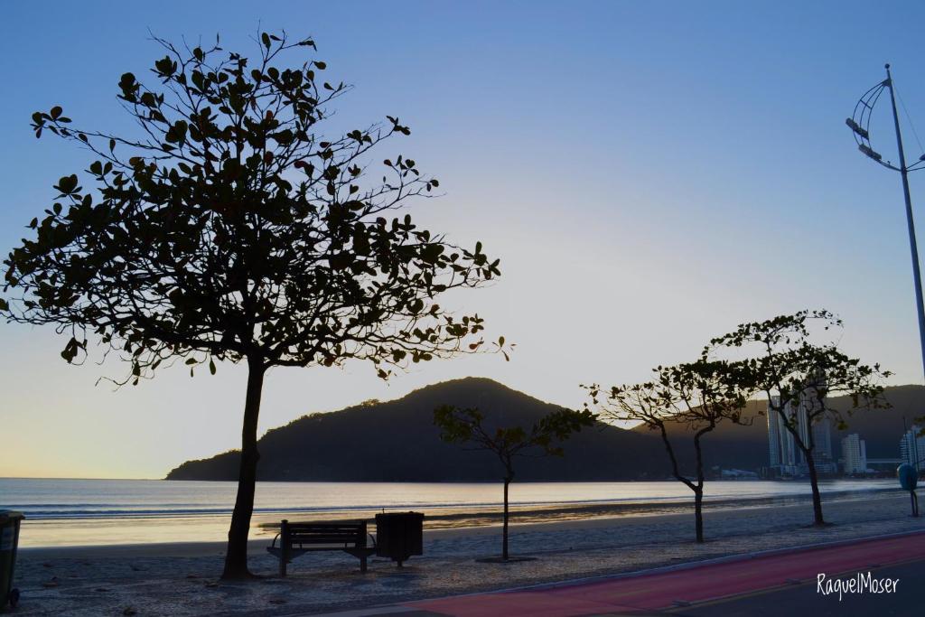  APTO. BEIRA MAR EM BAL. CAMBORIU