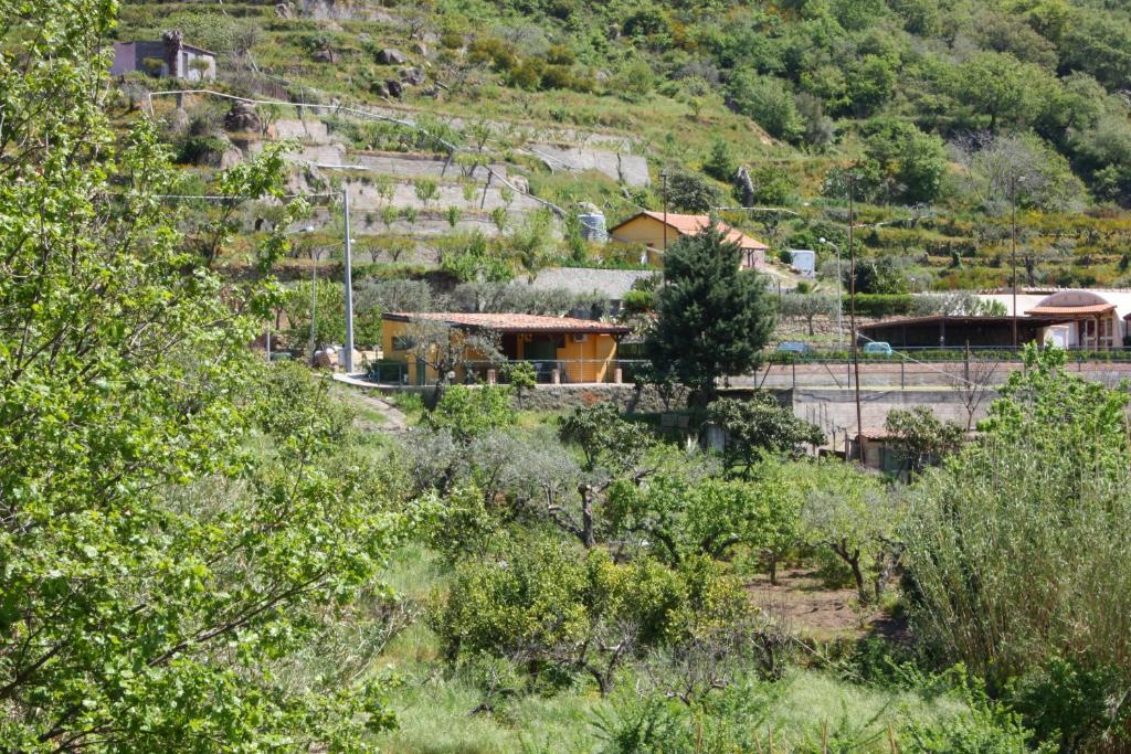 Príroda v okolí farmy