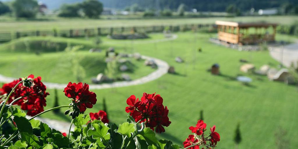a park with red flowers in a green field at Pensiunea Varvara de Bucovina in Gura Humorului