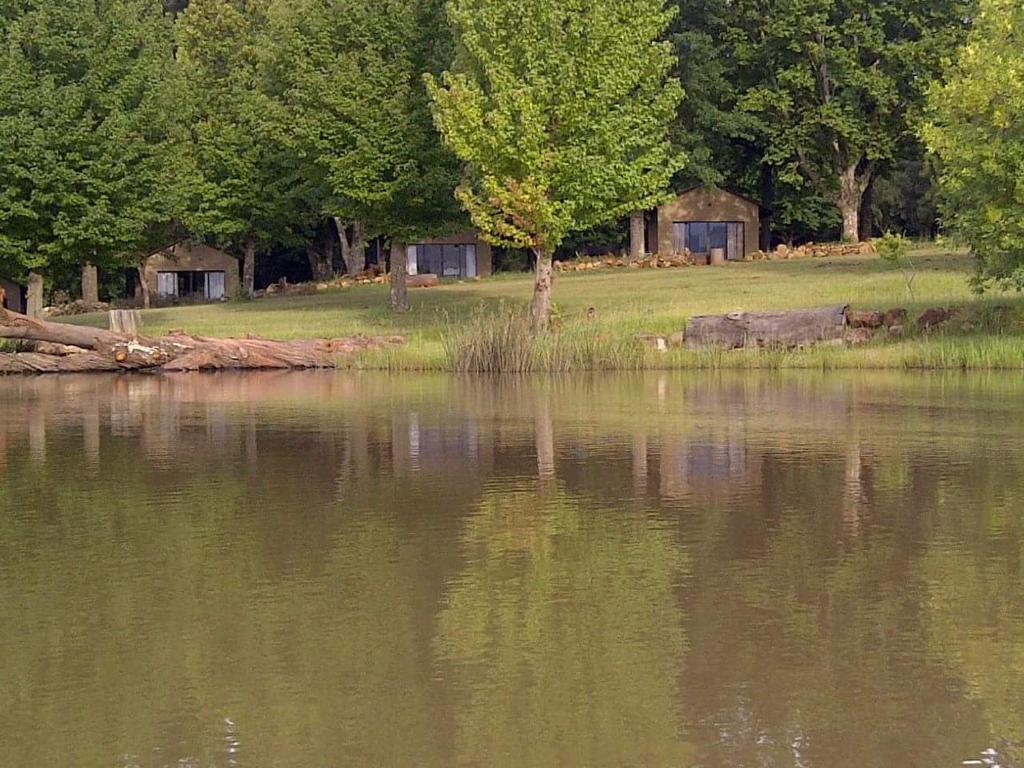 a view of a lake with trees and a field at Berghaven Cottages in Winterton
