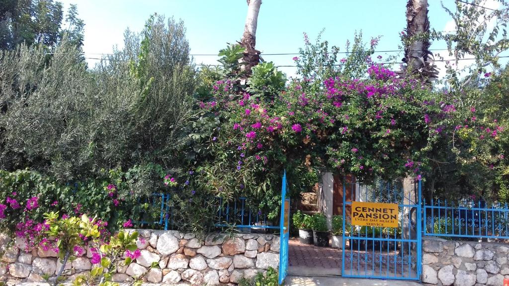 una cerca con flores púrpuras y un cartel en ella en Cennet Pansiyon, en Kaleucagız