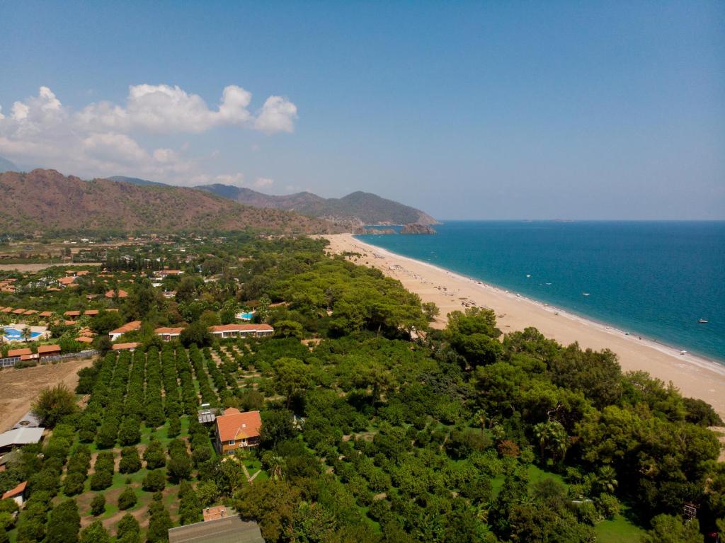 Fotografie z fotogalerie ubytování Baraka House v destinaci Çıralı
