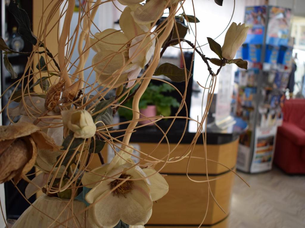 Hotel Bamby - Resim 25