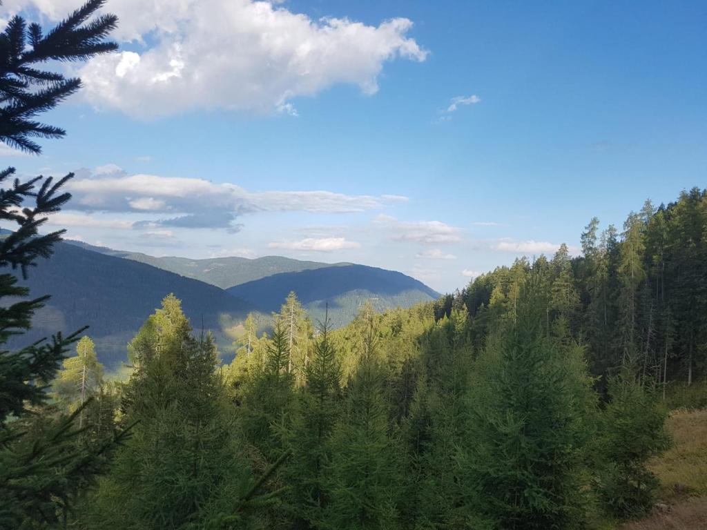 Příroda nedaleko prázdninového domu
