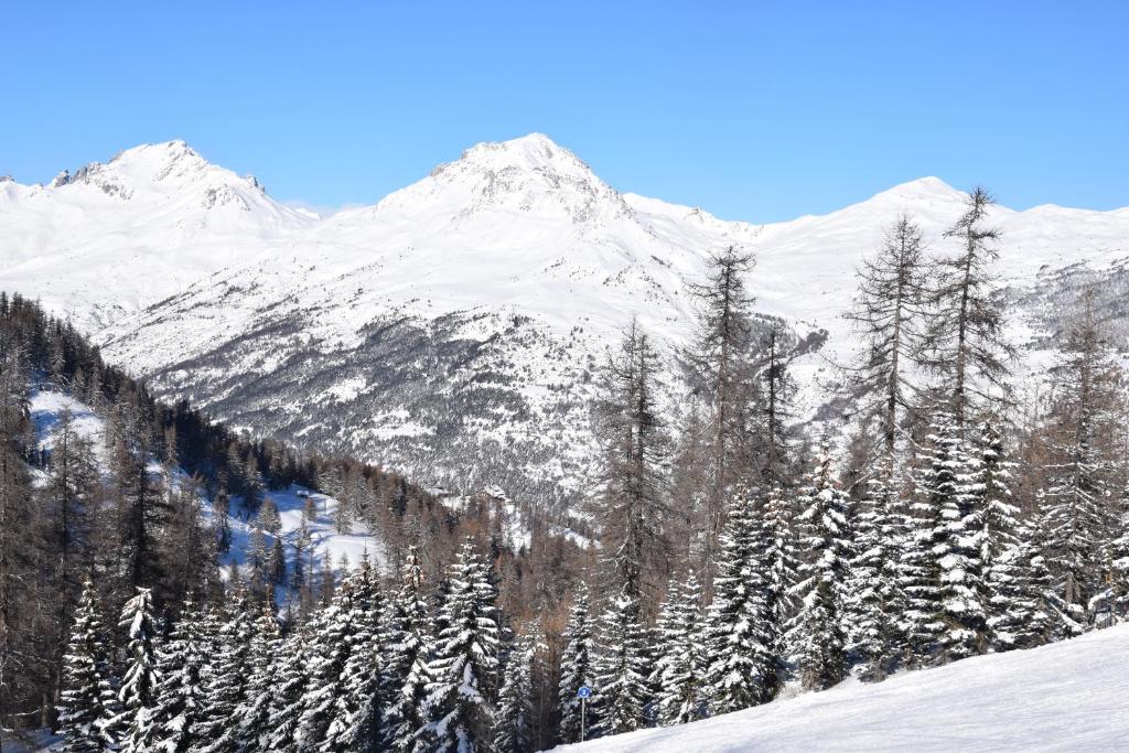 a snow covered mountain with trees and snow at Hôtel Restaurant Le Monêtier in Le Monêtier-les-Bains