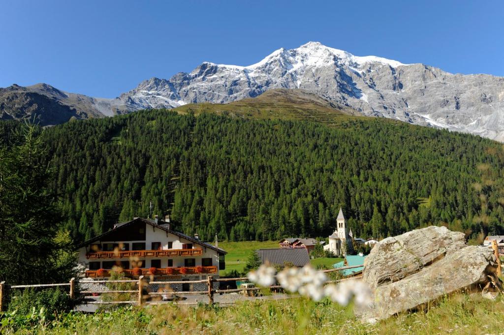 une maison dans un champ avec des montagnes en arrière-plan dans l'établissement Hotel Sport Robert, à Sulden